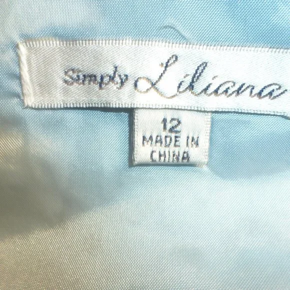 Easter Sale Simply Liliana Lace Dress Sz 12 Blue Sleeveless Fit Flare Satin Tie - Picture 7 of 9